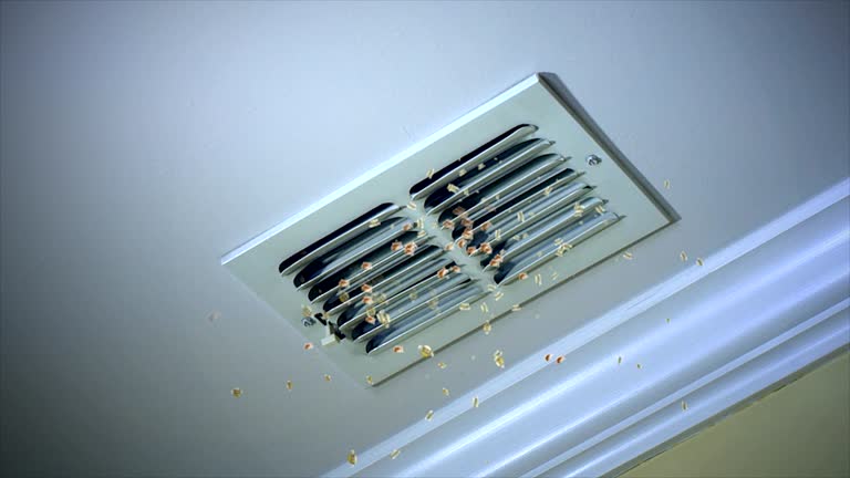 Best Ventilation Cleaning Services  in Mountain Lake, MN